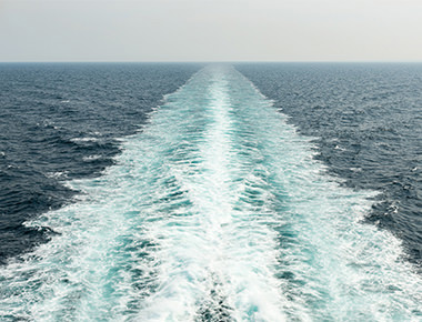 Tjaldur_Maritime.jpg