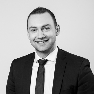 Janus Tjaldur Mynd Nr 6